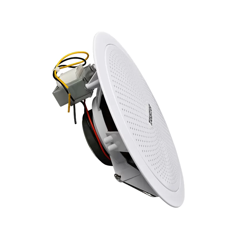 Loa âm trần 12W Takstar EBS-12C