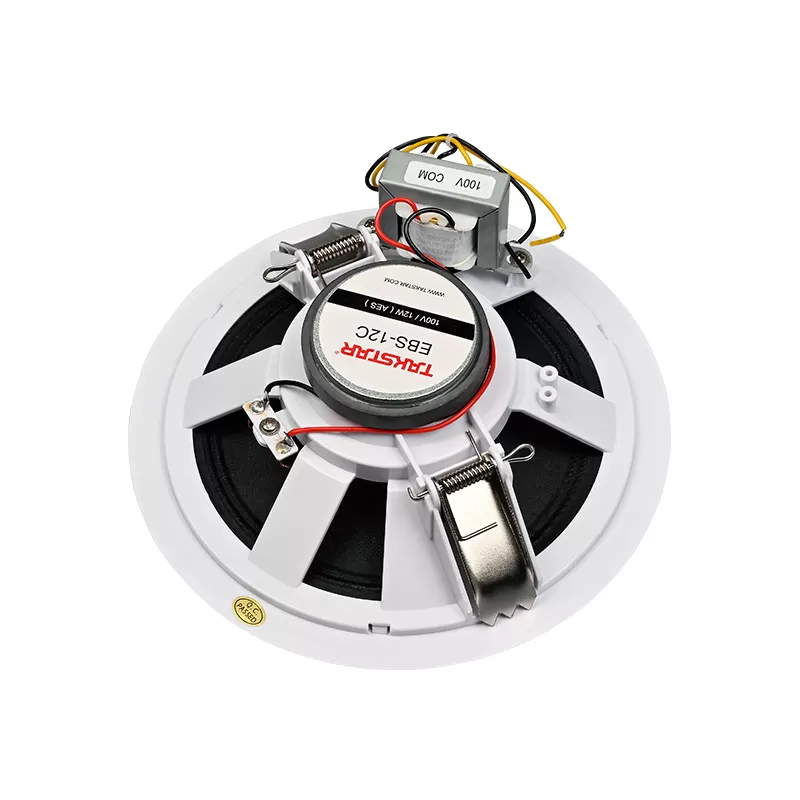 Loa âm trần 12W Takstar EBS-12C
