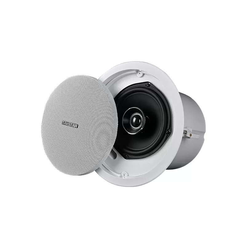 Loa âm trần 8Ω 60W Takstar EBS-630