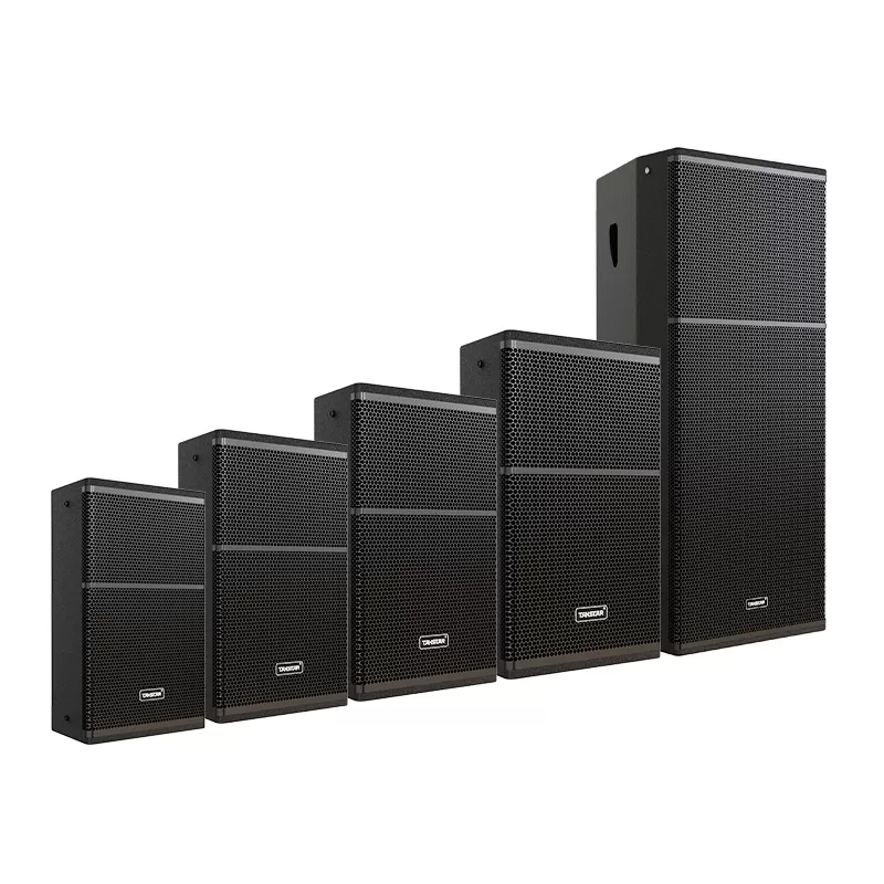 Loa toàn dải 250W Takstar EKS-101