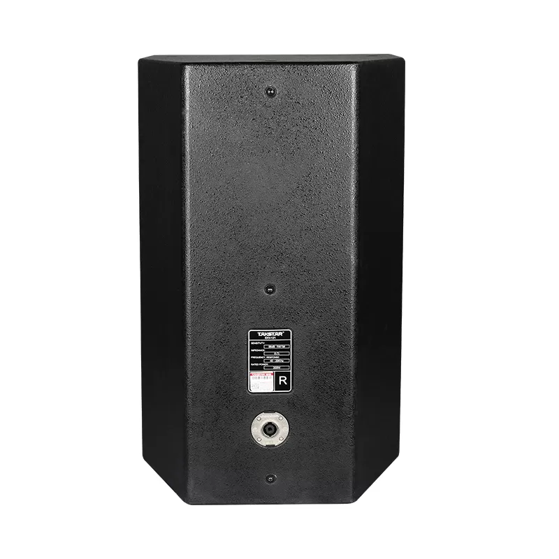 Loa Karaoke 300W Takstar EKV-121
