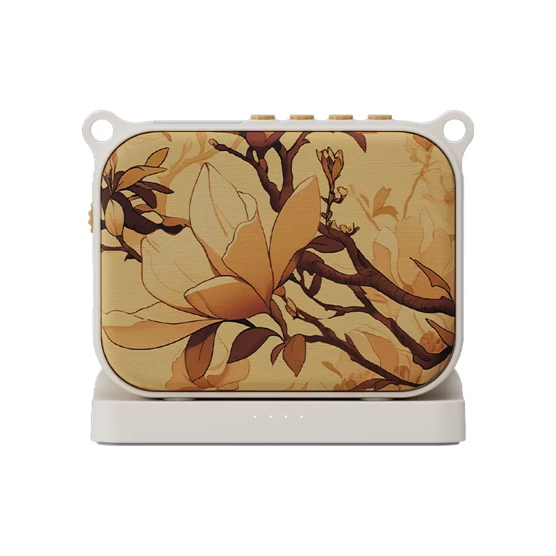 Bộ Khuếch Đại Giọng Nói Di Động E30