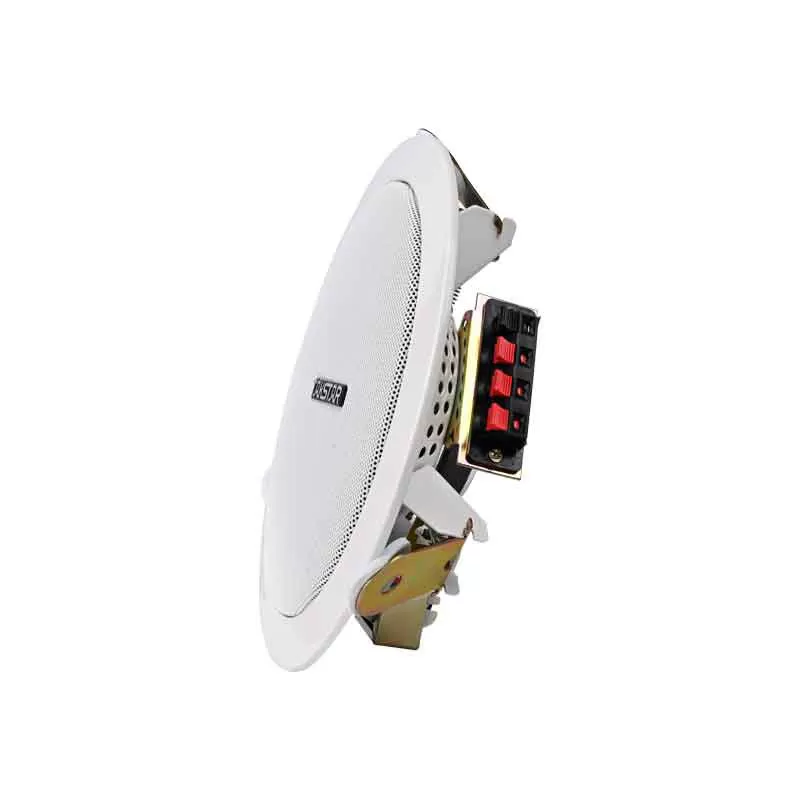 Loa âm trần Takstar EBS-6C