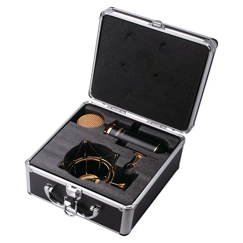 Micro thu âm Takstar PC-K820